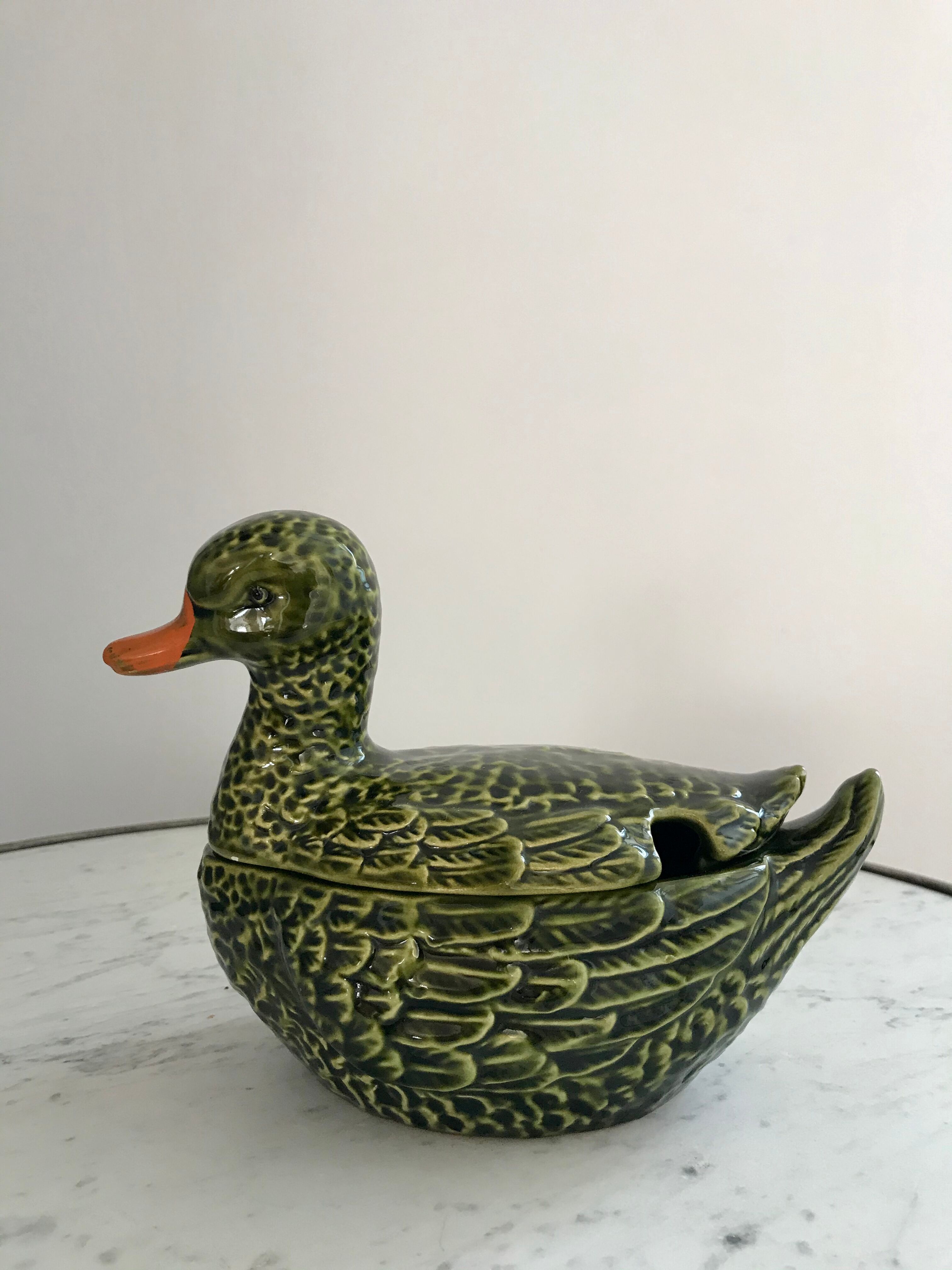 Empty dabbling duck pocket