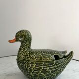 Empty dabbling duck pocket