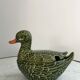 Empty dabbling duck pocket