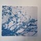 Cyanotype photographique