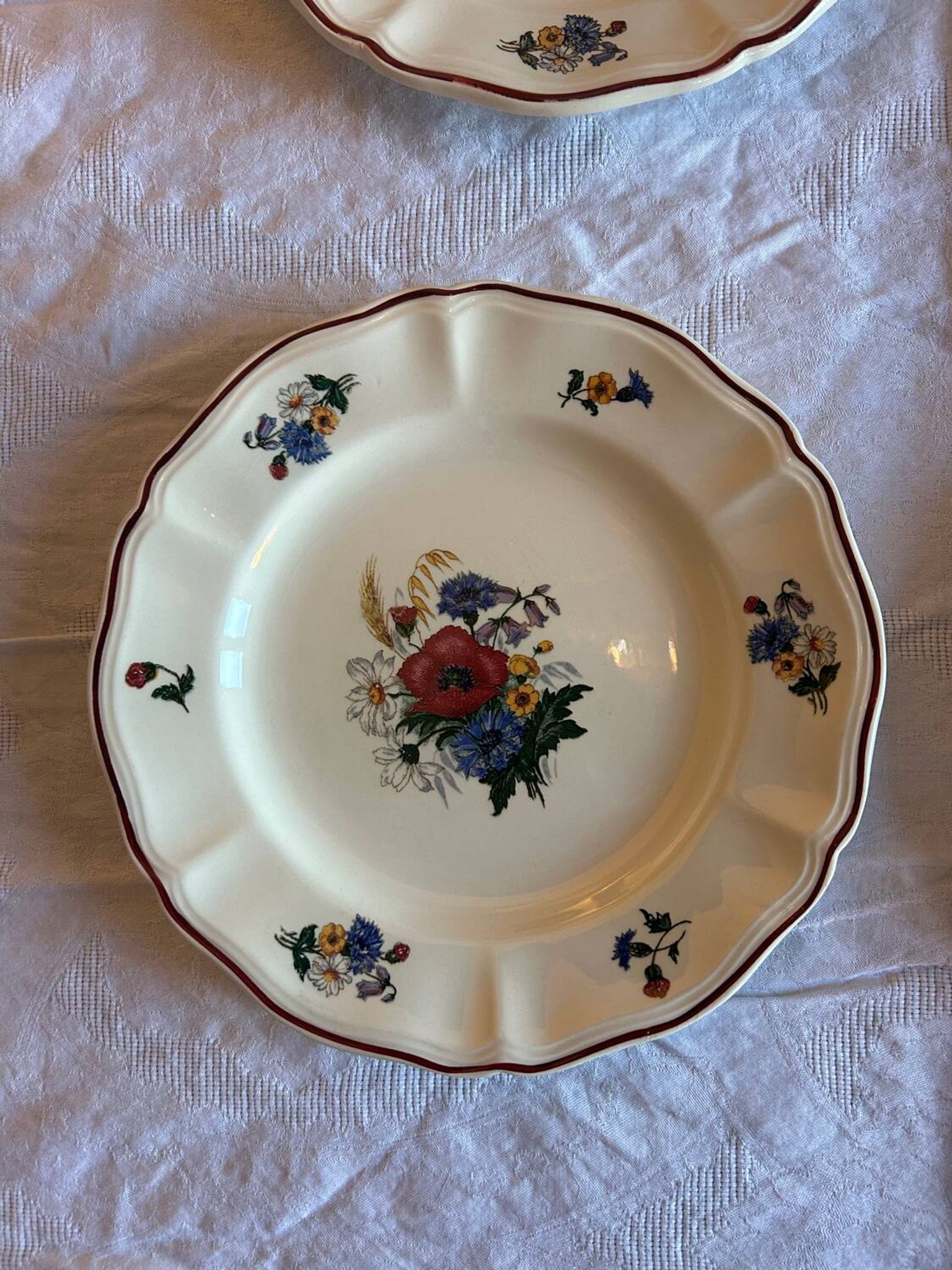 Set of 11 antique plates in Sarreguemines earthenware – Agre decoration