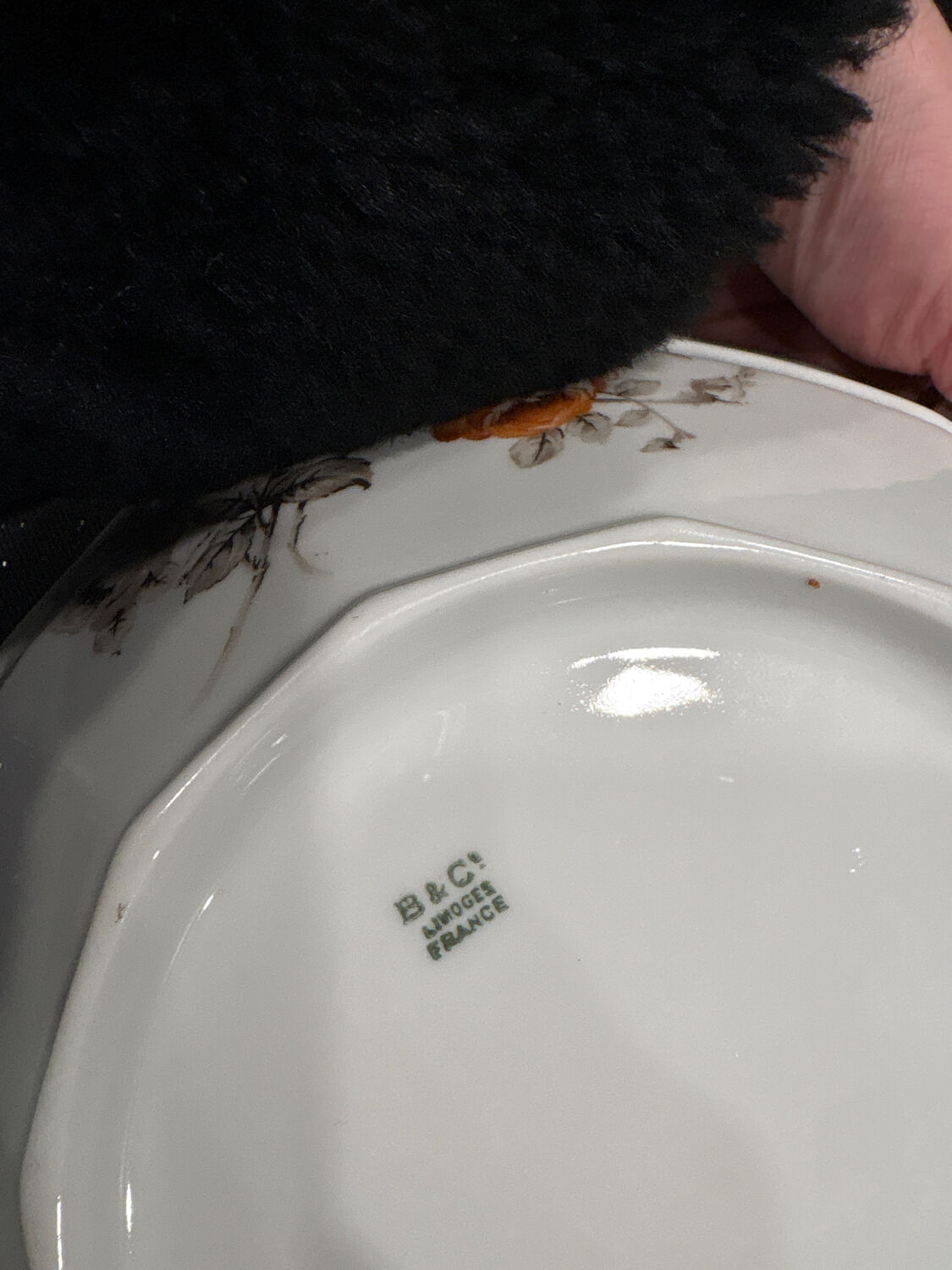 B&C Limoges porcelain tableware, France