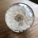 Decorative paper press, glass