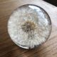 Decorative paper press, glass