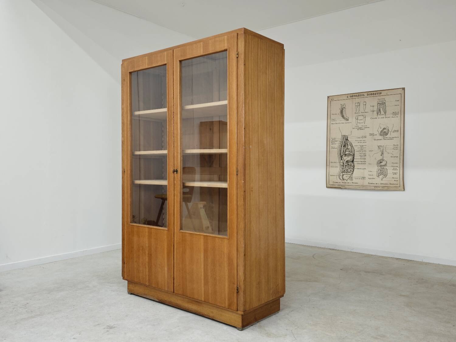 Oak glass-fronted school cabinet 1960