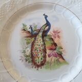 Old plates Moulin des loups