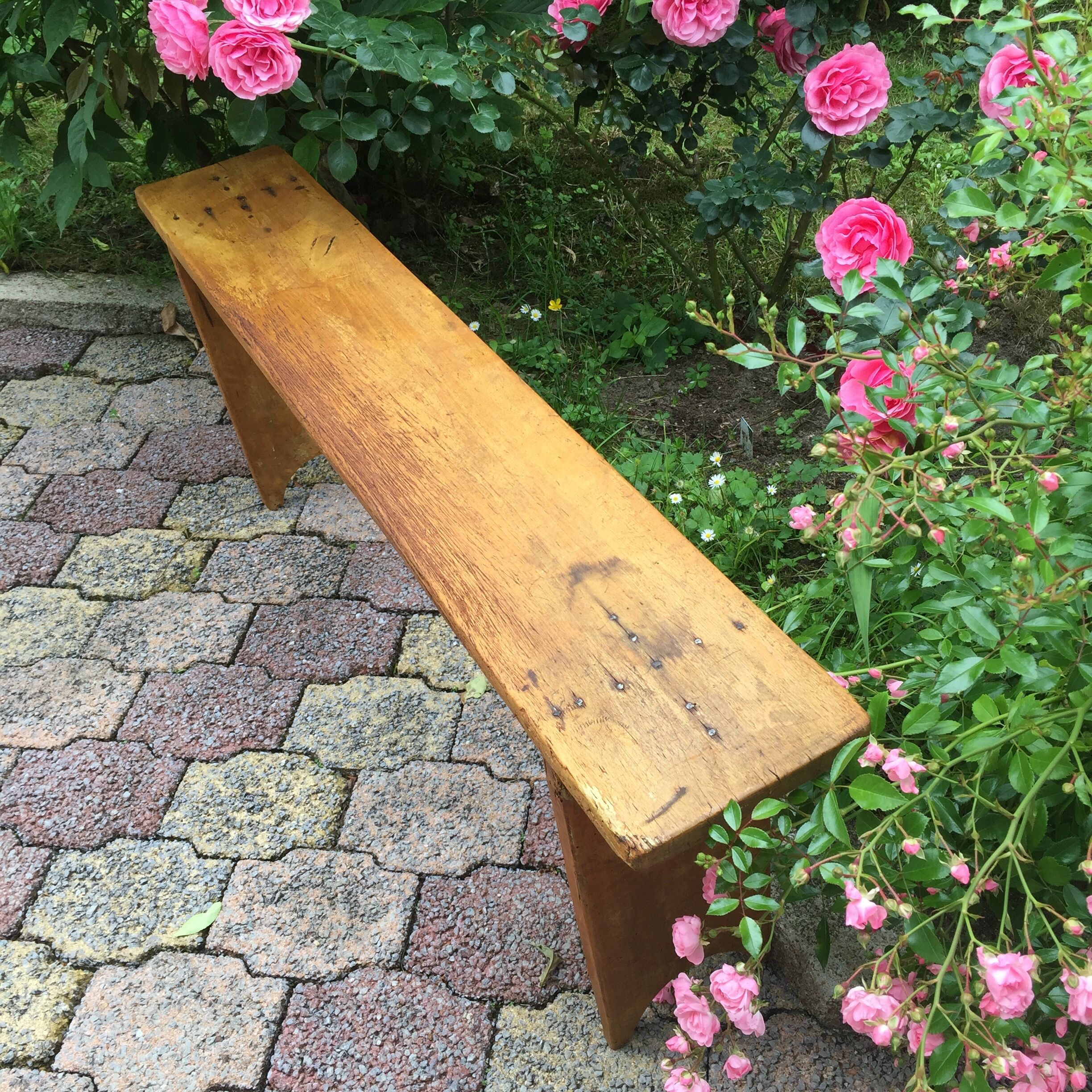 Old bench