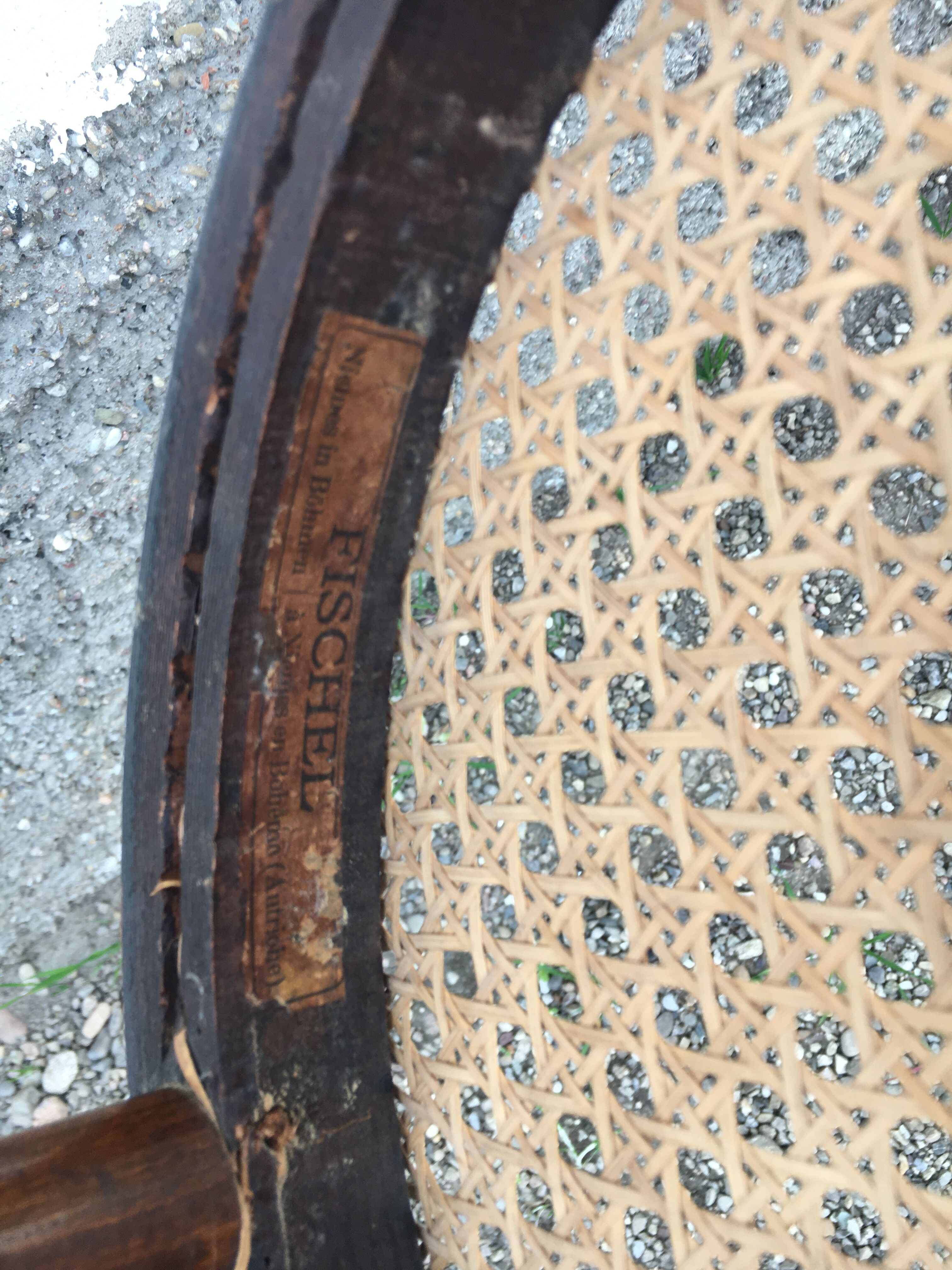 Pair of fischel chairs made in Austria curved wood