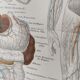 Anatomical Engraving - Human Blood Vessels - Original 1909 Poster
