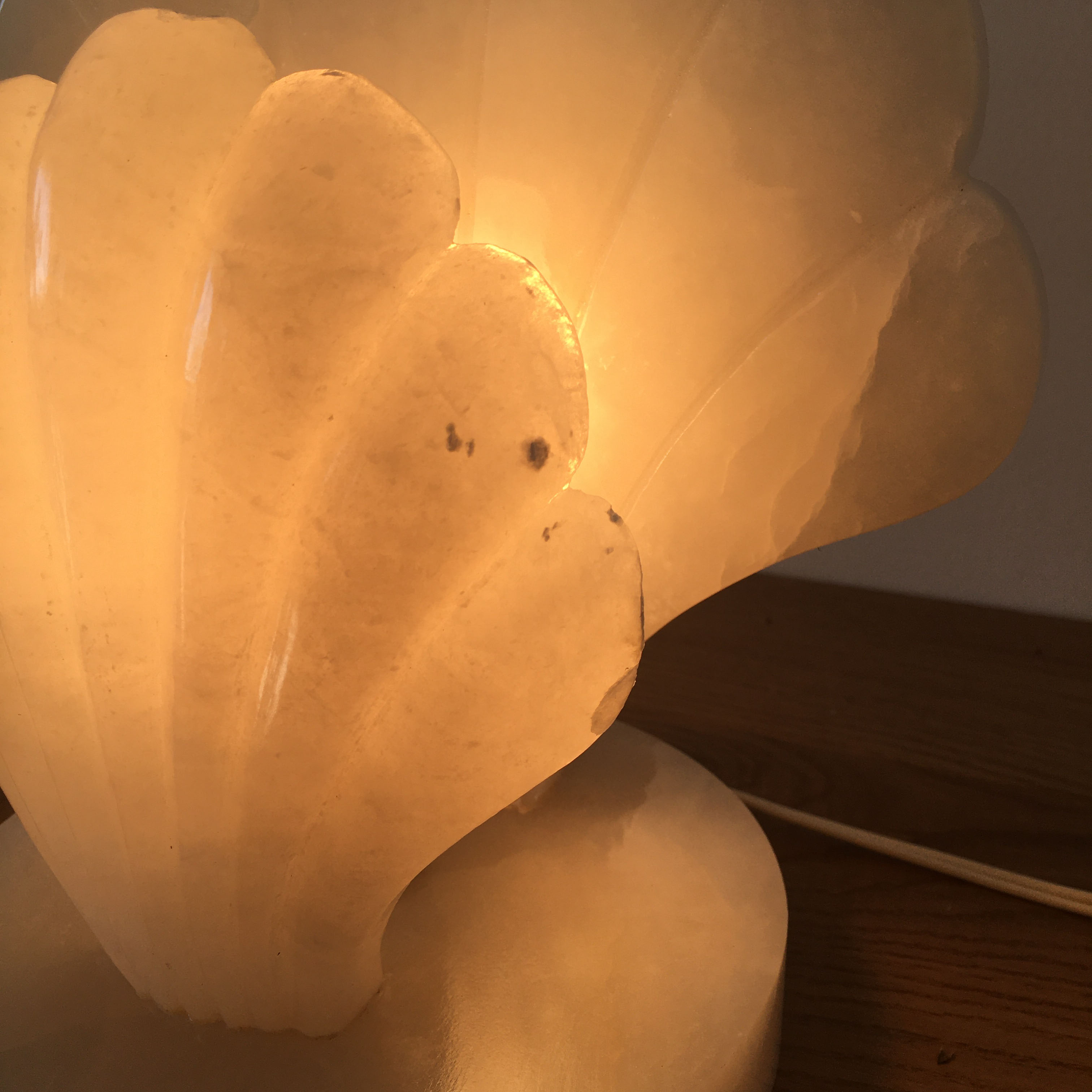 Alabaster shell lamp