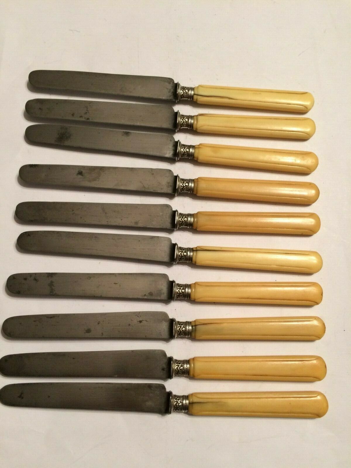 Set of 10 blade knives in steel cheese and dessert