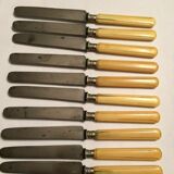 Set of 10 blade knives in steel cheese and dessert