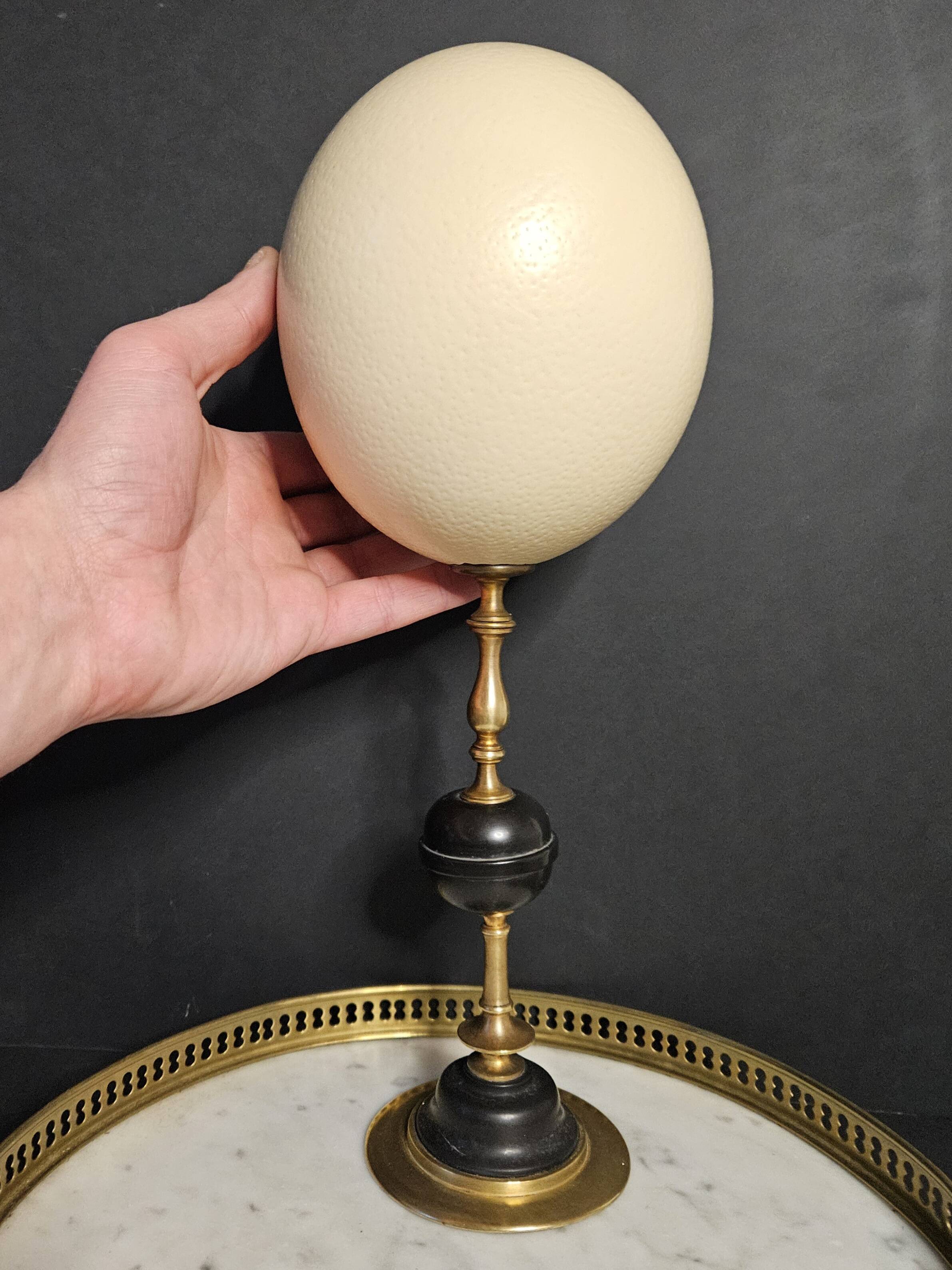 Ostrich Egg, Brass and Black Marble Base (20th century) H: 35 cm | Collection