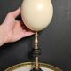 Ostrich Egg, Brass and Black Marble Base (20th century) H: 35 cm | Collection