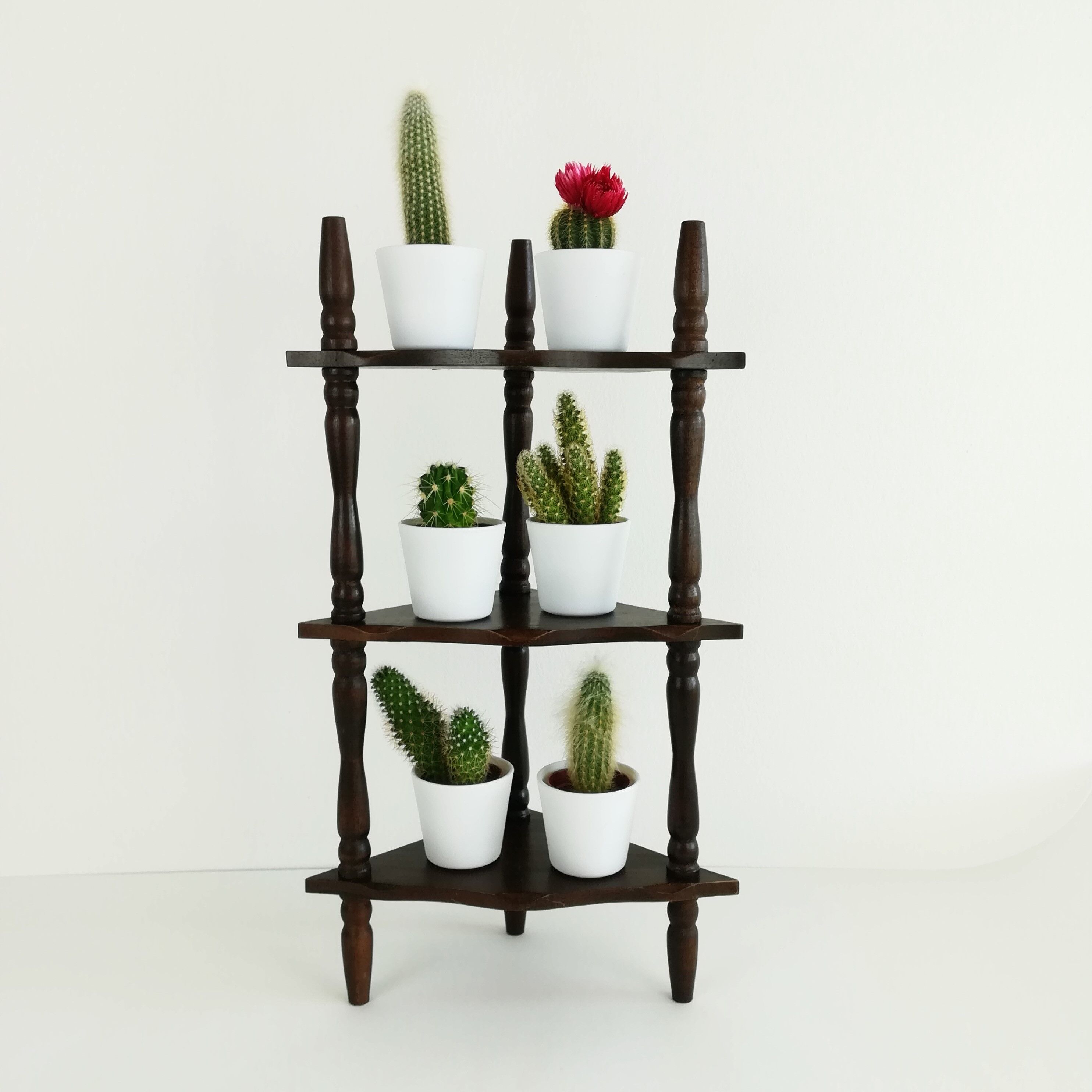 Wall corner shelf or to be installed