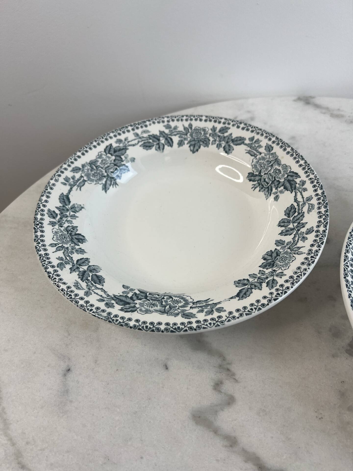 Set of 2 deep plates in ironstone Sarreguemines Digoin Guadel