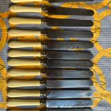 Set of 12 horn-handled knives