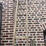 Old tree trunk ladder