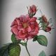 Lithograph Rosier Frankfurt