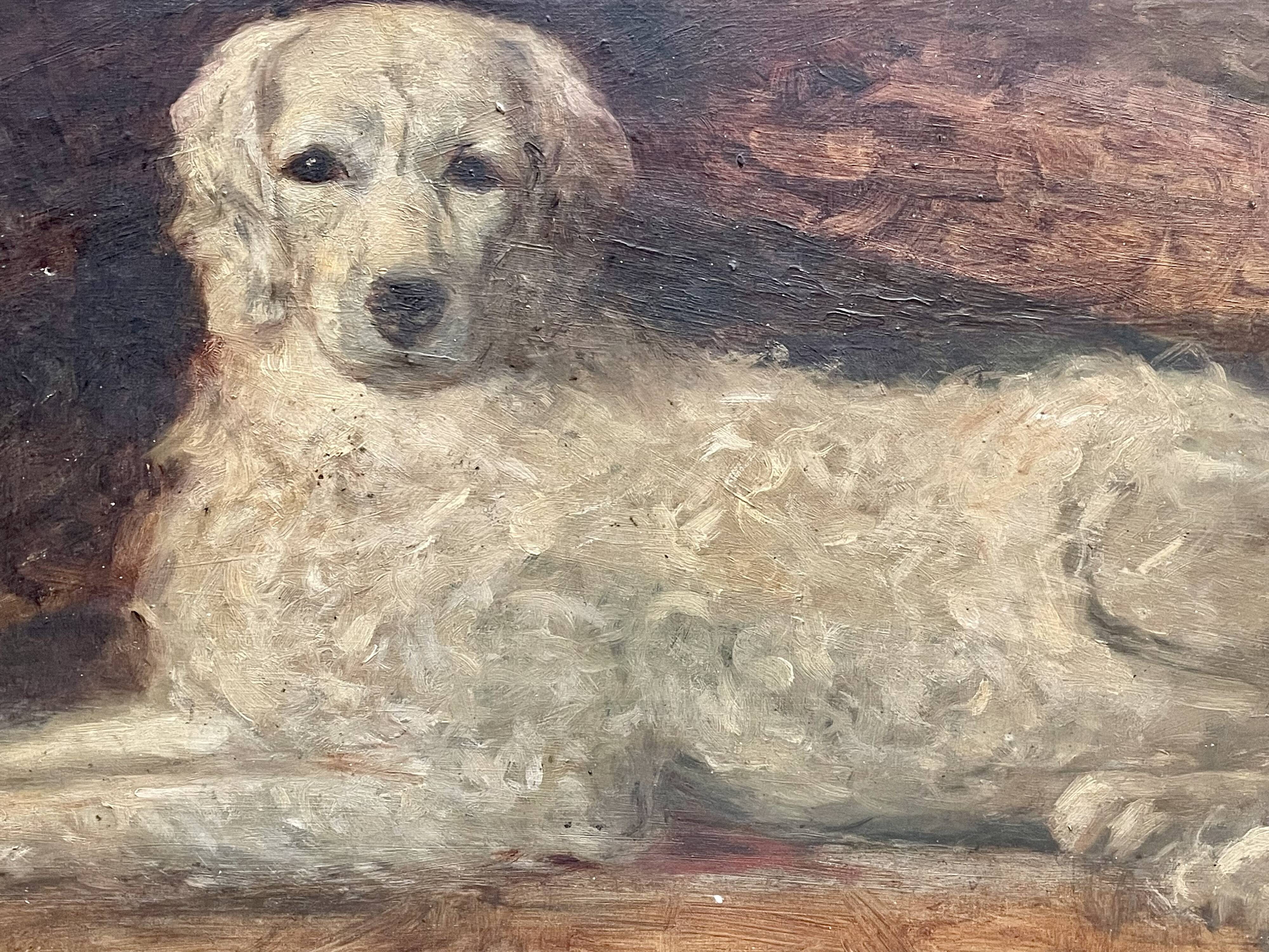 Portrait of a dog