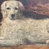Portrait of a dog
