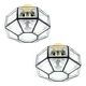 Pair Of Mid Century Glass Ceiling Lights Or Wall Lamps From Limburg, 1960s