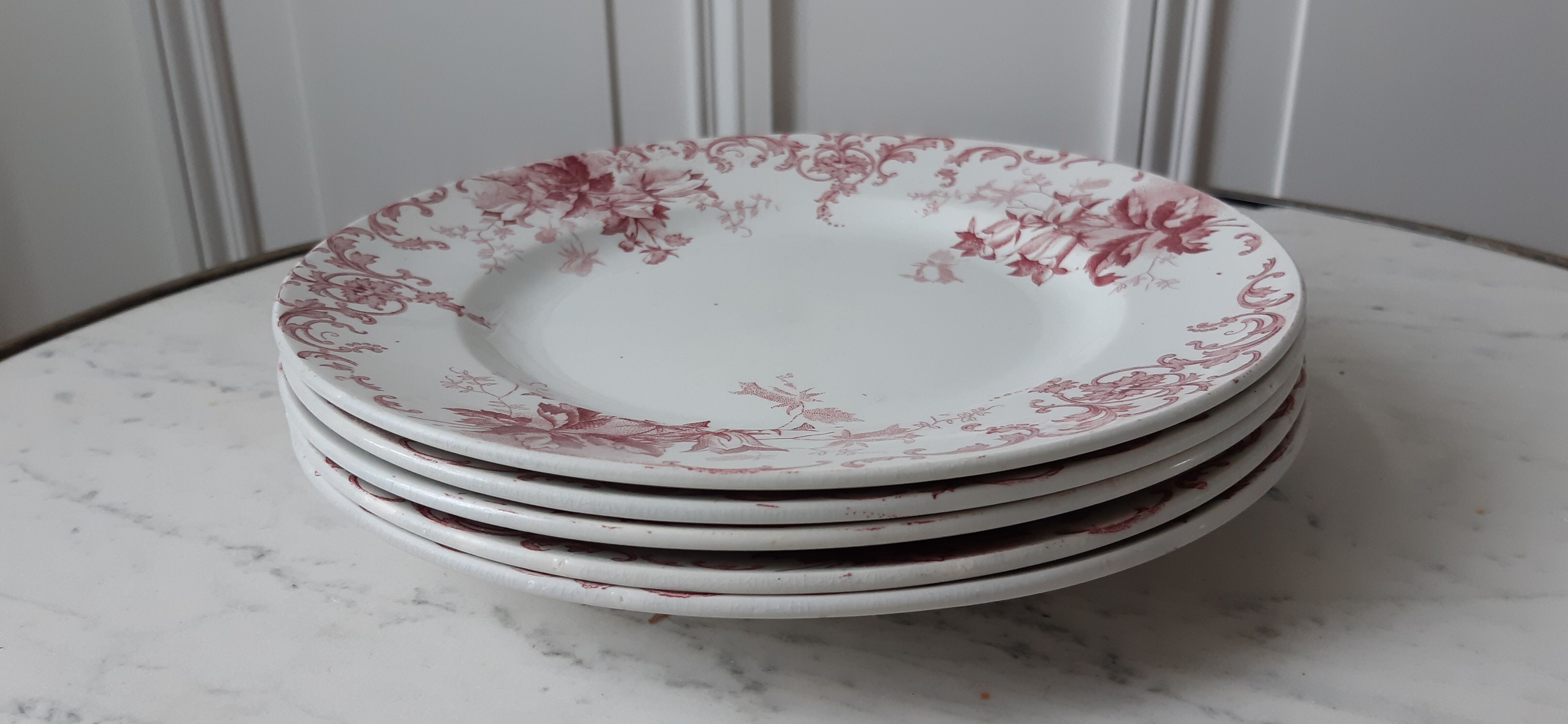 Set of 5 flat plates Terre de Fer St Amand model "Campanule" mid XIXth