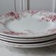 Set of 5 flat plates Terre de Fer St Amand model "Campanule" mid XIXth