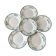 Set of 6 flat plates terre de fer saint-amand xixth