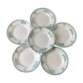 Lot de 6 assiettes plates terre de fer saint-amand xixème
