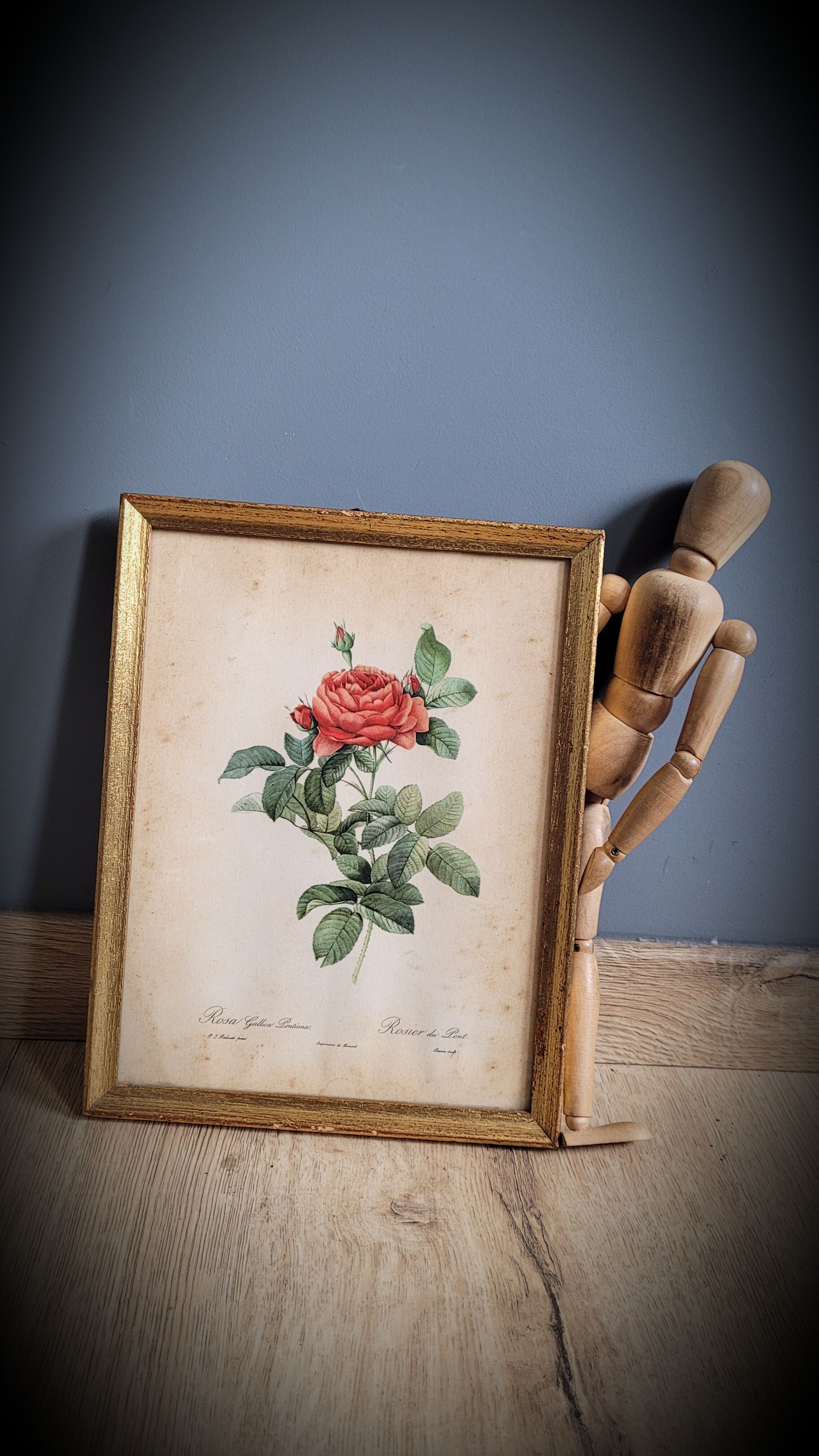 Litho rose of Pont P