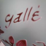 Vase galle tip.