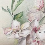 Watercolor painting "Bouquet of Eglantines" signed around 1900 on Vidalon paper