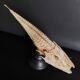 Cabinet of Curiosities naturalized fish satyrichthys welchi on base