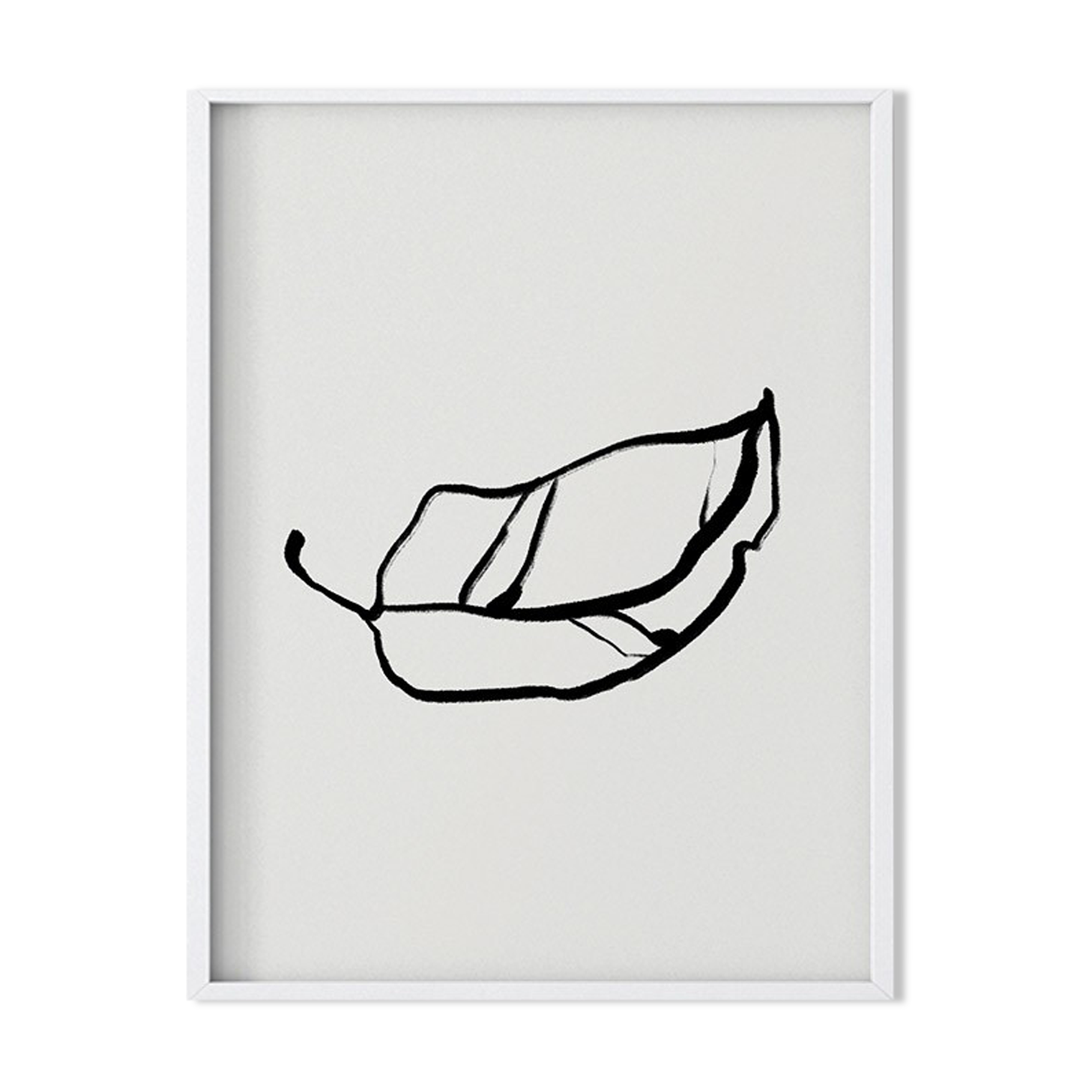 Botanical illustration giclee print, 50x70