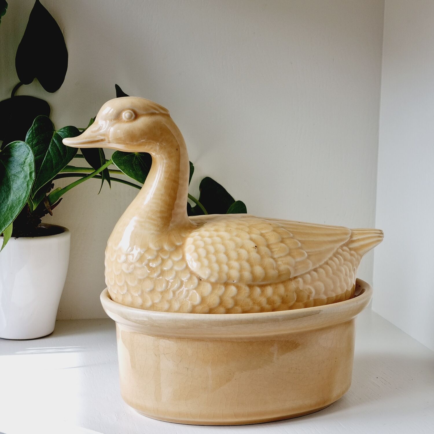 Ceramic duck terrine