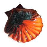 Empty pocket scallop, Vallauris