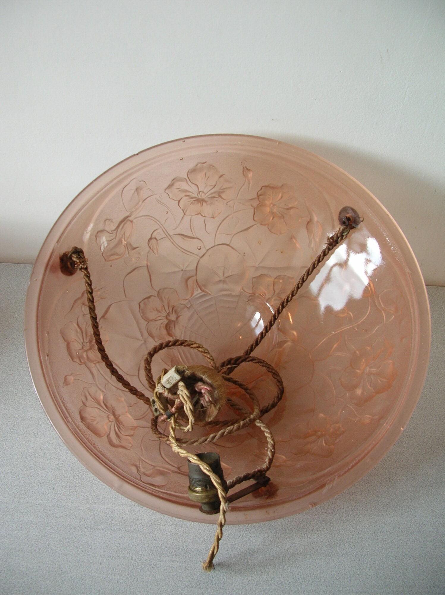 Old suspension basin luminaire Art Deco floral decoration nasturtium and spider web
