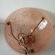 Old suspension basin luminaire Art Deco floral decoration nasturtium and spider web
