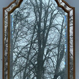 Mirror parecloses 93x59 cm