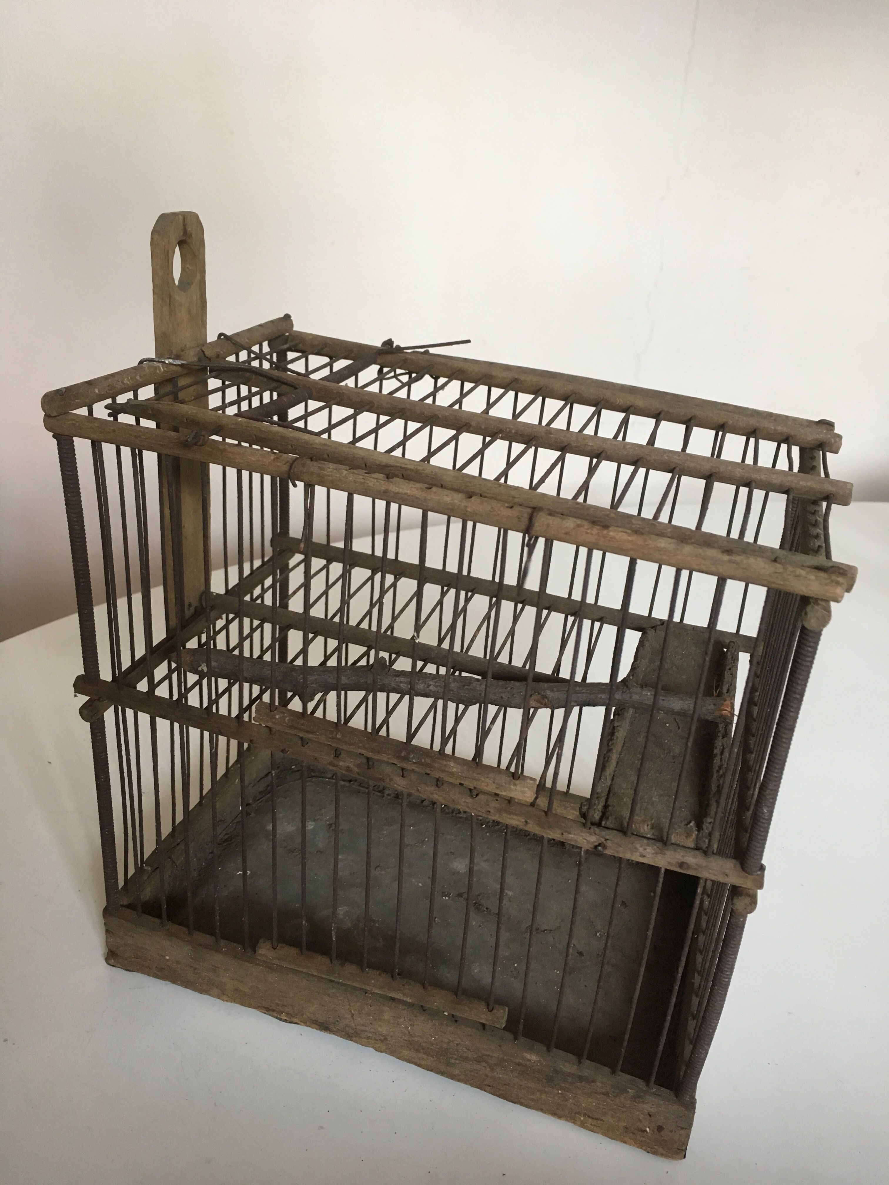 Garden bird cage 19th in zinc and wood