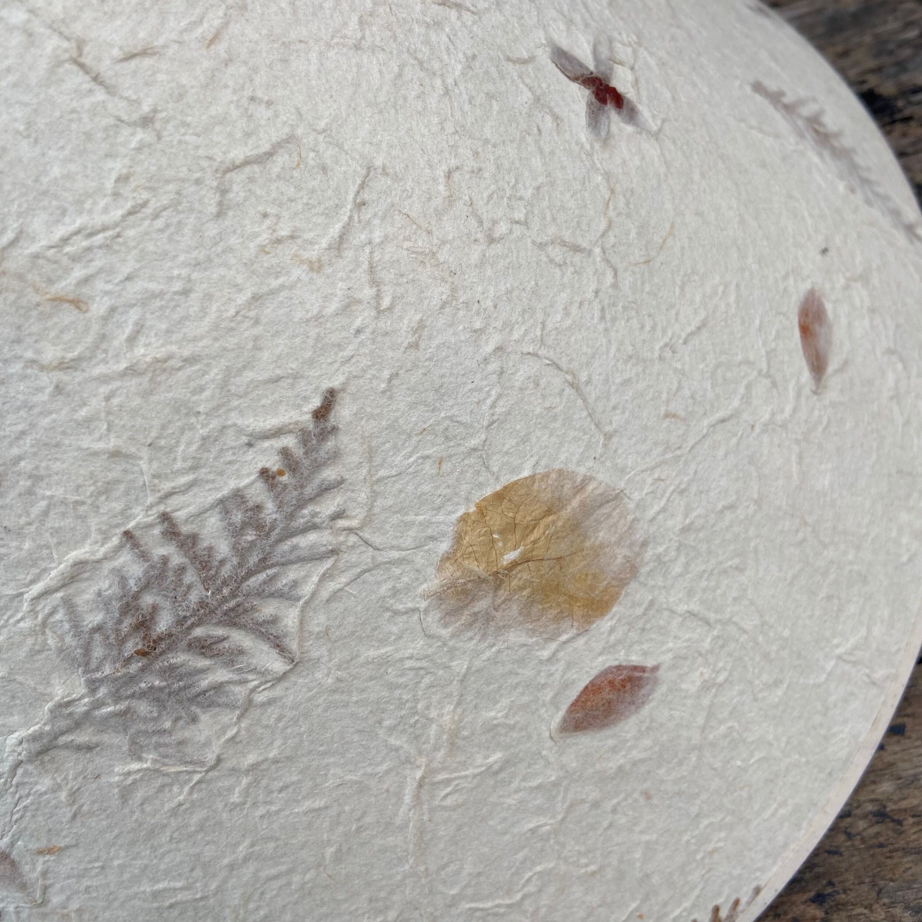 Suspension dried flowers, handmade paper