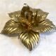 Pair of flower sconces