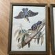 Set of 3 ornithological posters