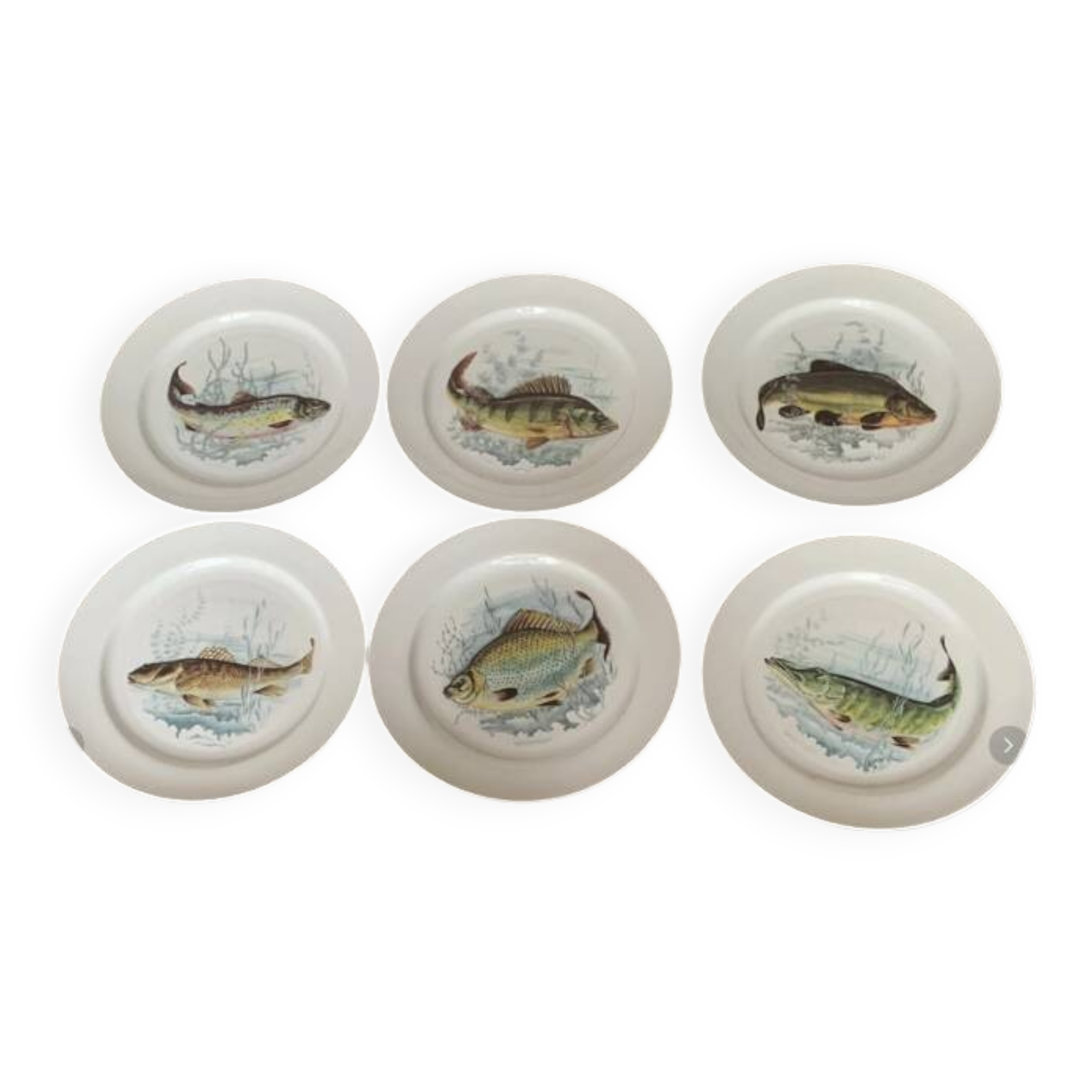 6 fish plates in genuine Limoges porcelain