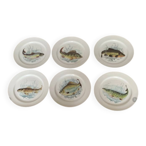6 assiettes à poisson - porcelaine limoges