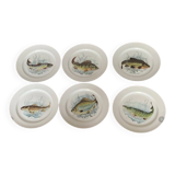 6 fish plates in genuine Limoges porcelain