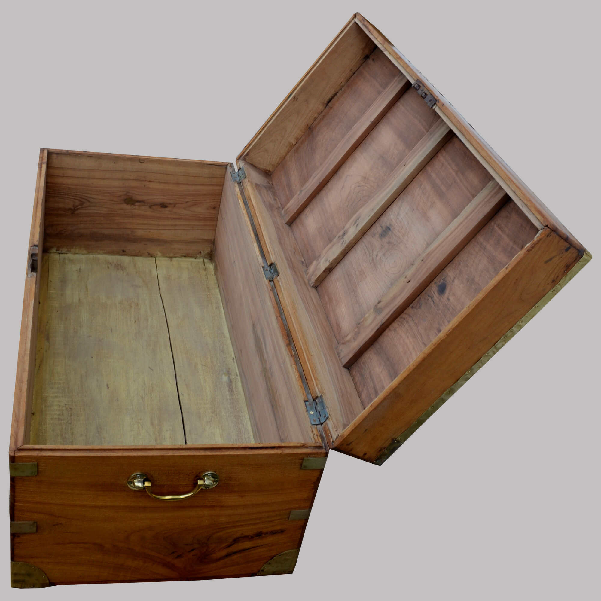 Chest in camphor tree