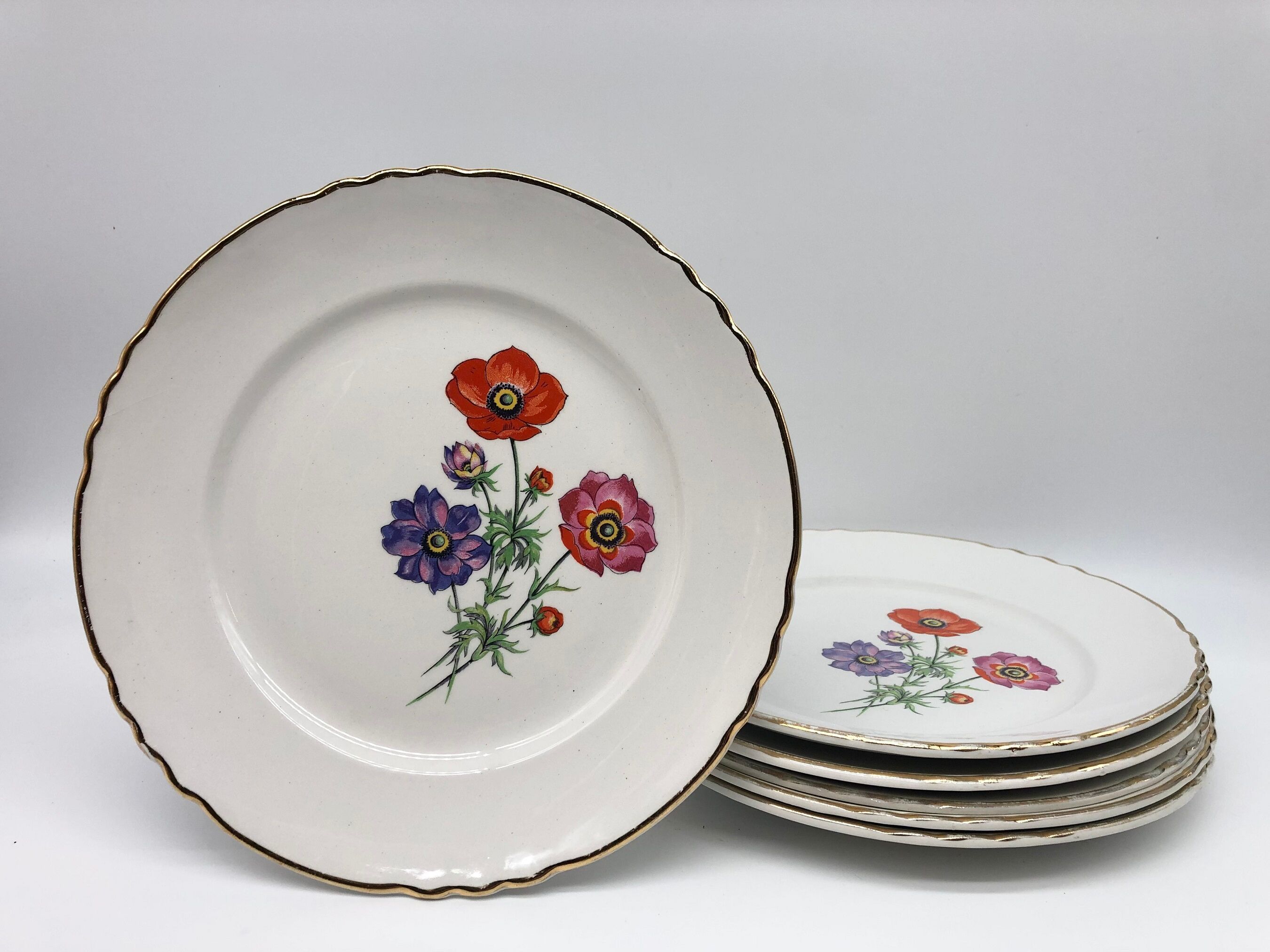 6 Flat porcelain plates "Moulin des Loups" Beaulieu model