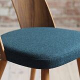 Set of 10 Mid Century Dining Chairs by A. Šuman, Reupholstery Options